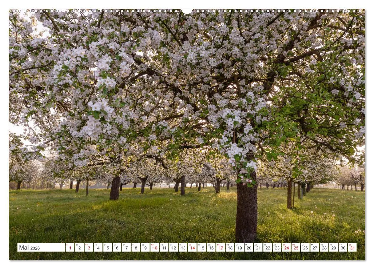 Bild: 9783457994016 | Kanton Thurgau (Wandkalender 2026 DIN A2 quer), CALVENDO...