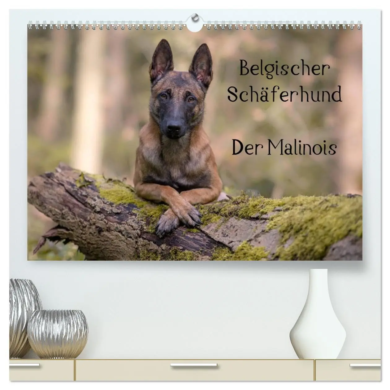 Cover: 9783516084016 | Belgischer Schäferhund - Der Malinois (hochwertiger Premium...