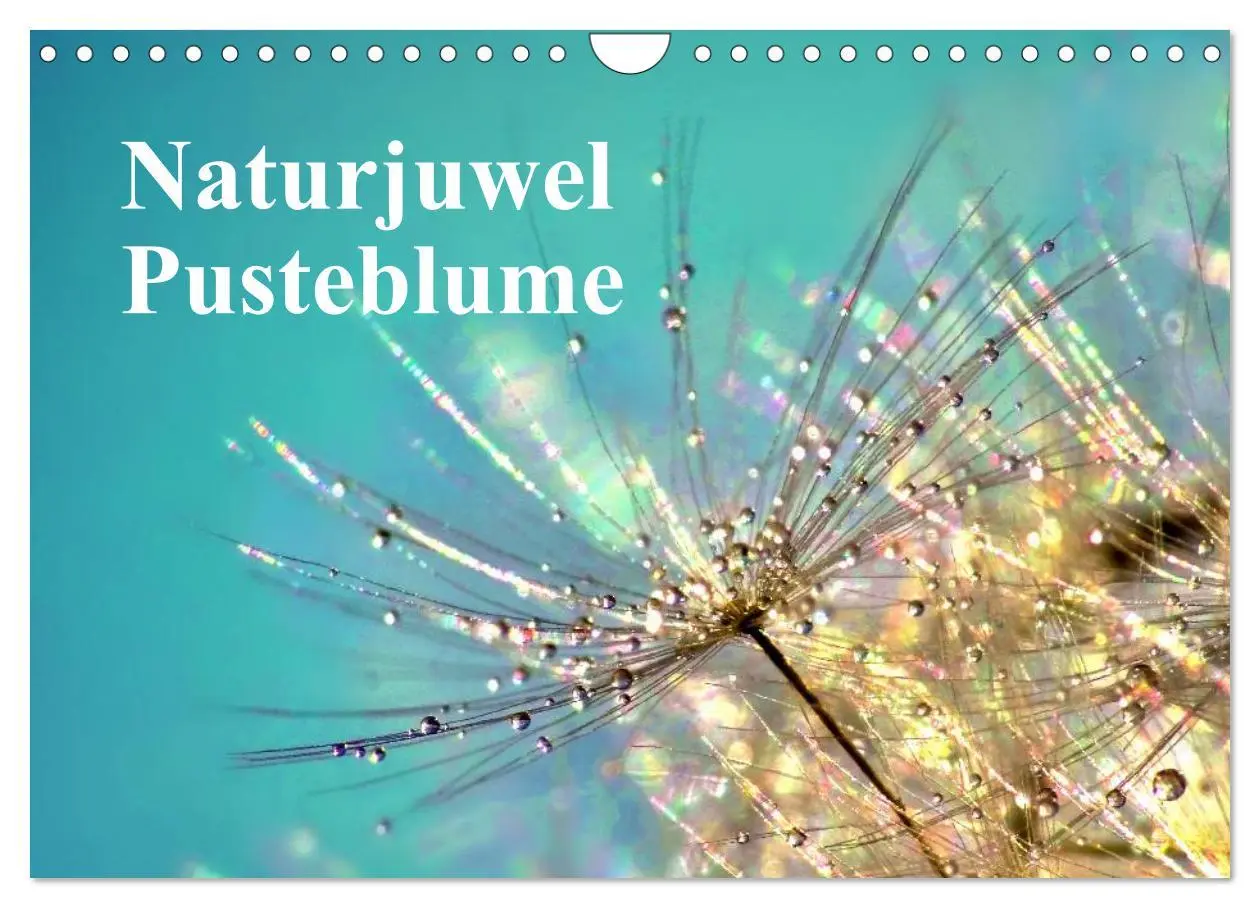 Cover: 9783516154016 | Naturjuwel Pusteblume (Wandkalender 2026 DIN A4 quer), CALVENDO...