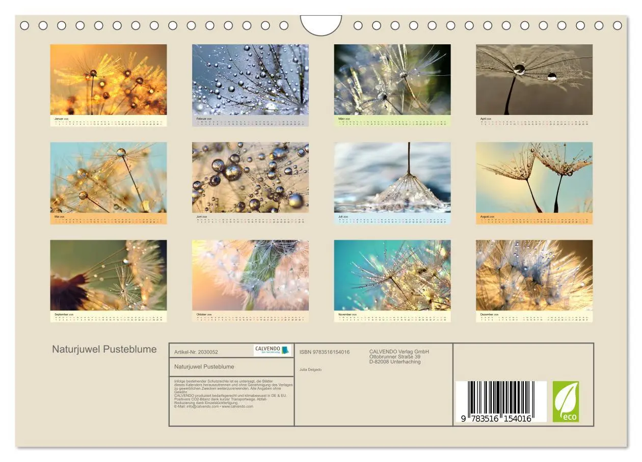 Bild: 9783516154016 | Naturjuwel Pusteblume (Wandkalender 2026 DIN A4 quer), CALVENDO...