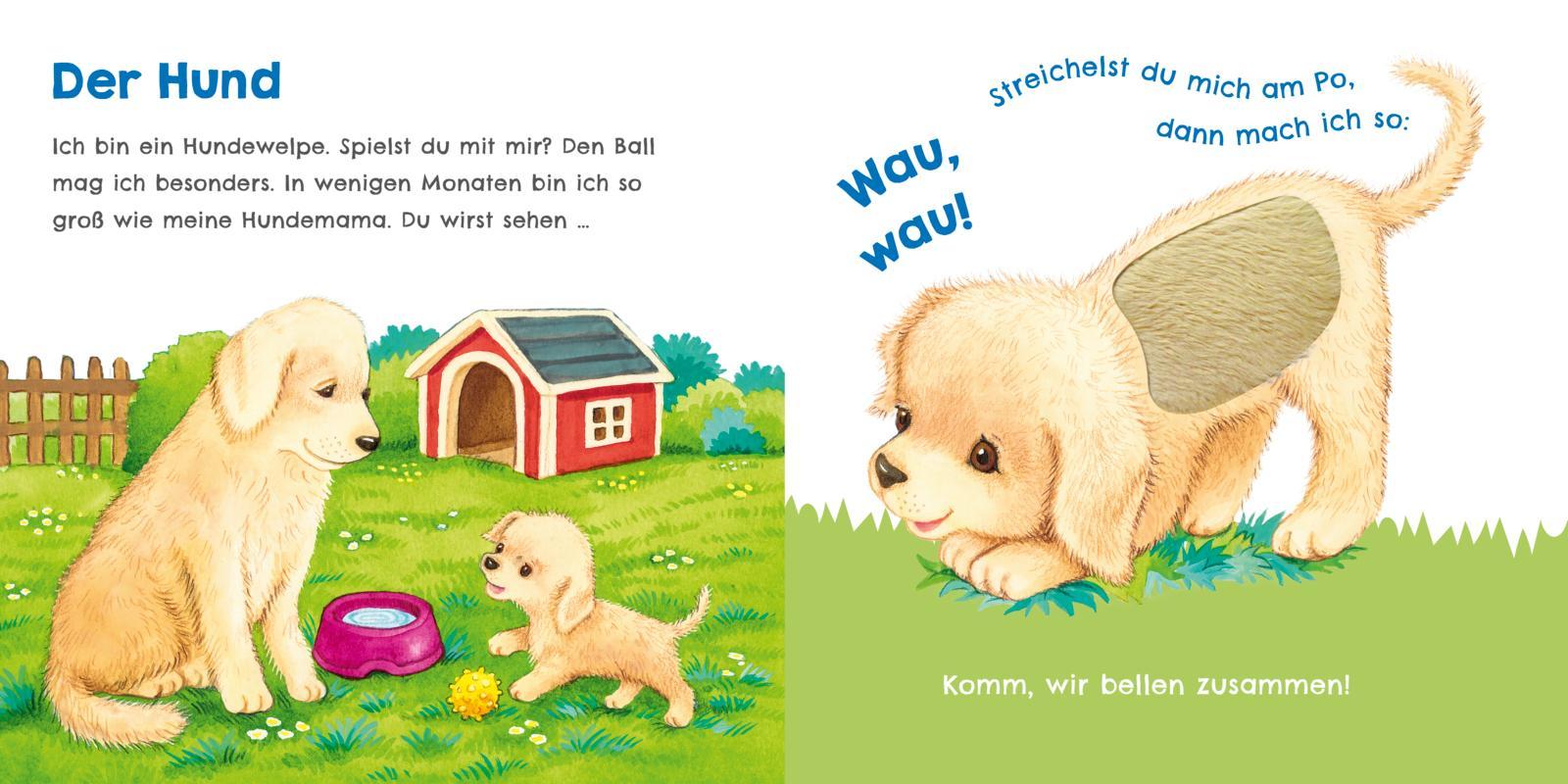 Bild: 9783551254016 | Hör mal, wie ich miauen kann (Mein erstes Streichel-Soundbuch 2)