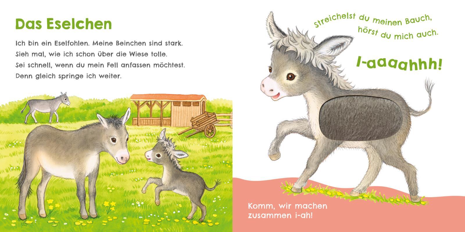 Bild: 9783551254016 | Hör mal, wie ich miauen kann (Mein erstes Streichel-Soundbuch 2)