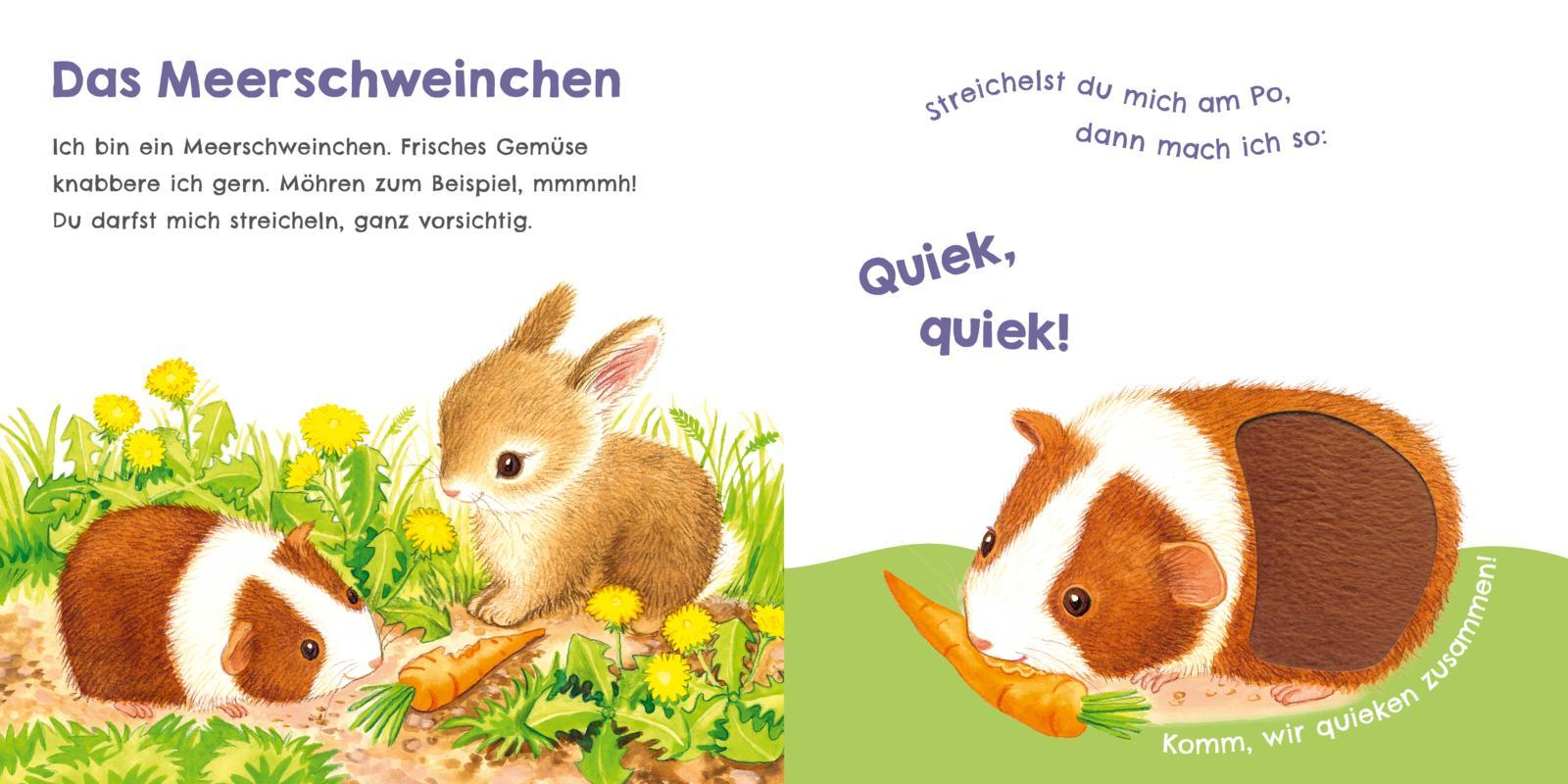 Bild: 9783551254016 | Hör mal, wie ich miauen kann (Mein erstes Streichel-Soundbuch 2)
