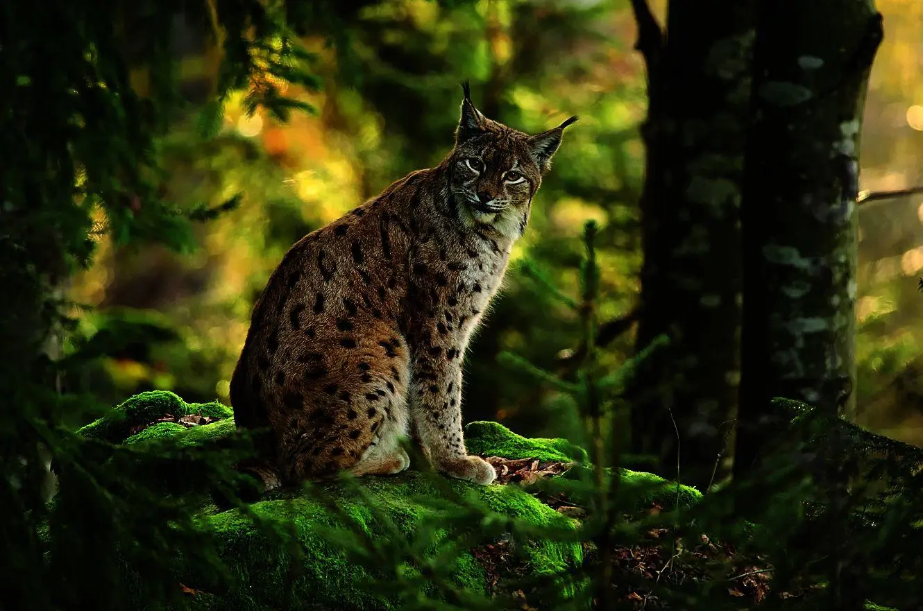 Bild: 9783734334016 | Fernweh Deutschland | Naturparadiese direkt vor der Haustür erleben