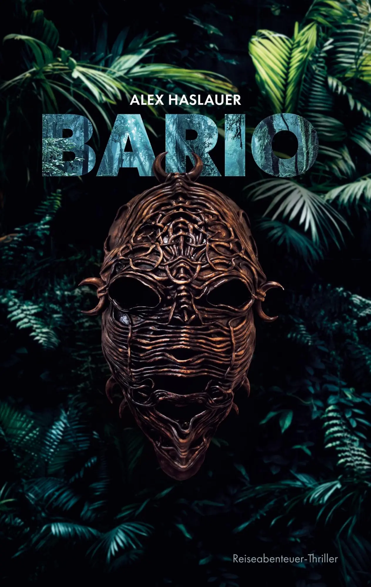 Cover: 9783754374016 | Bario | Alex Haslauer | Taschenbuch | Paperback | 332 S. | Deutsch
