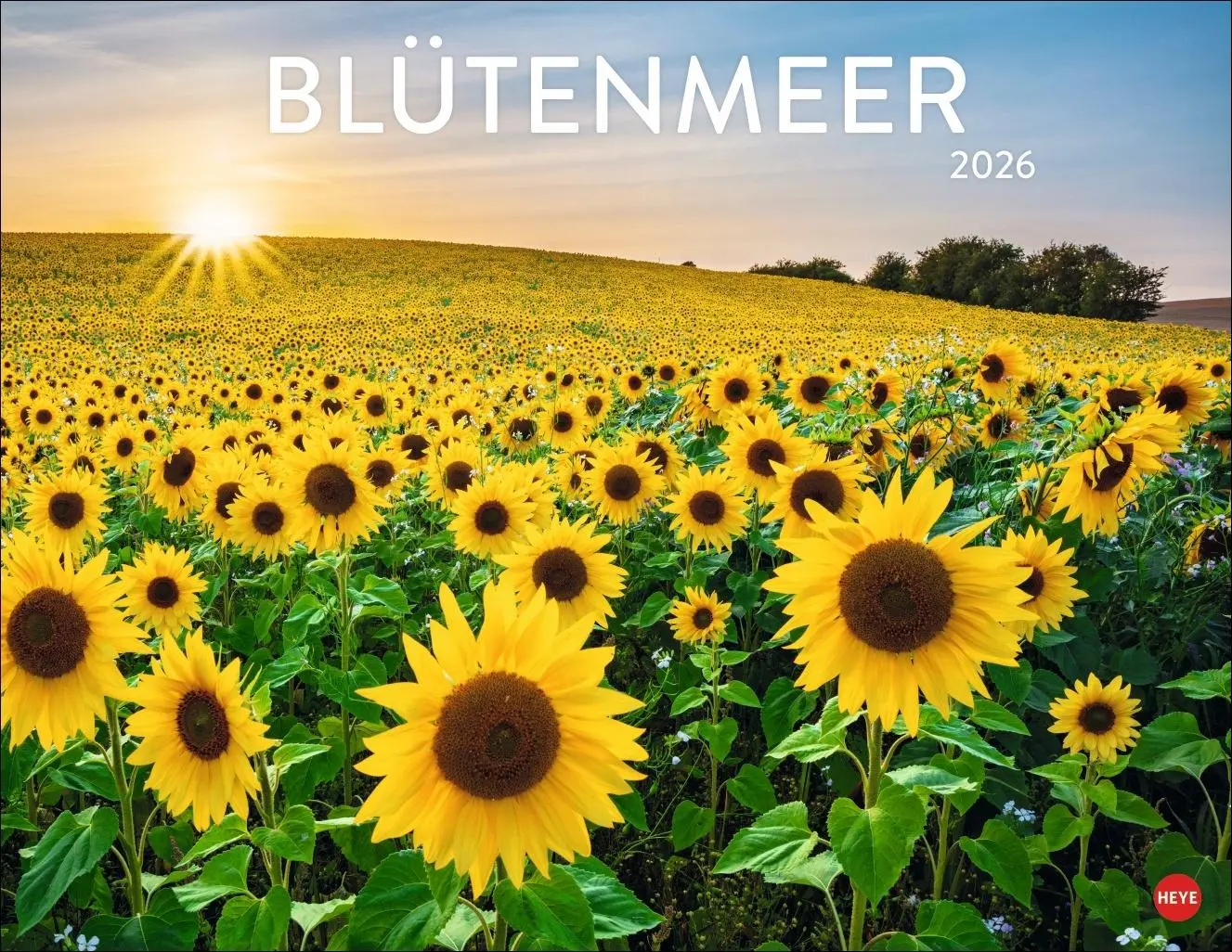 Cover: 9783756414116 | Blütenmeer Posterkalender 2026 | Heye | Kalender | Spiralbindung
