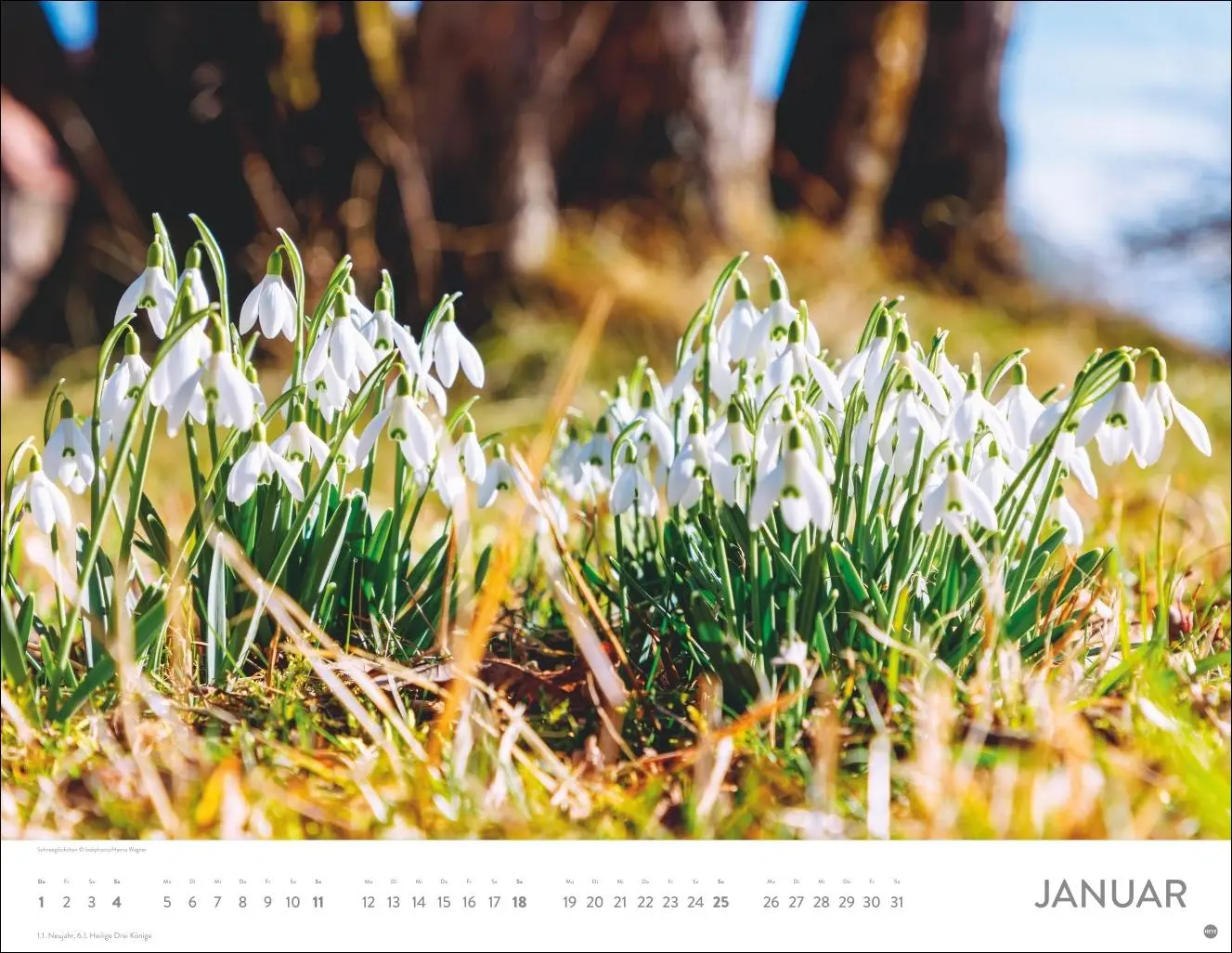Bild: 9783756414116 | Blütenmeer Posterkalender 2026 | Heye | Kalender | Spiralbindung