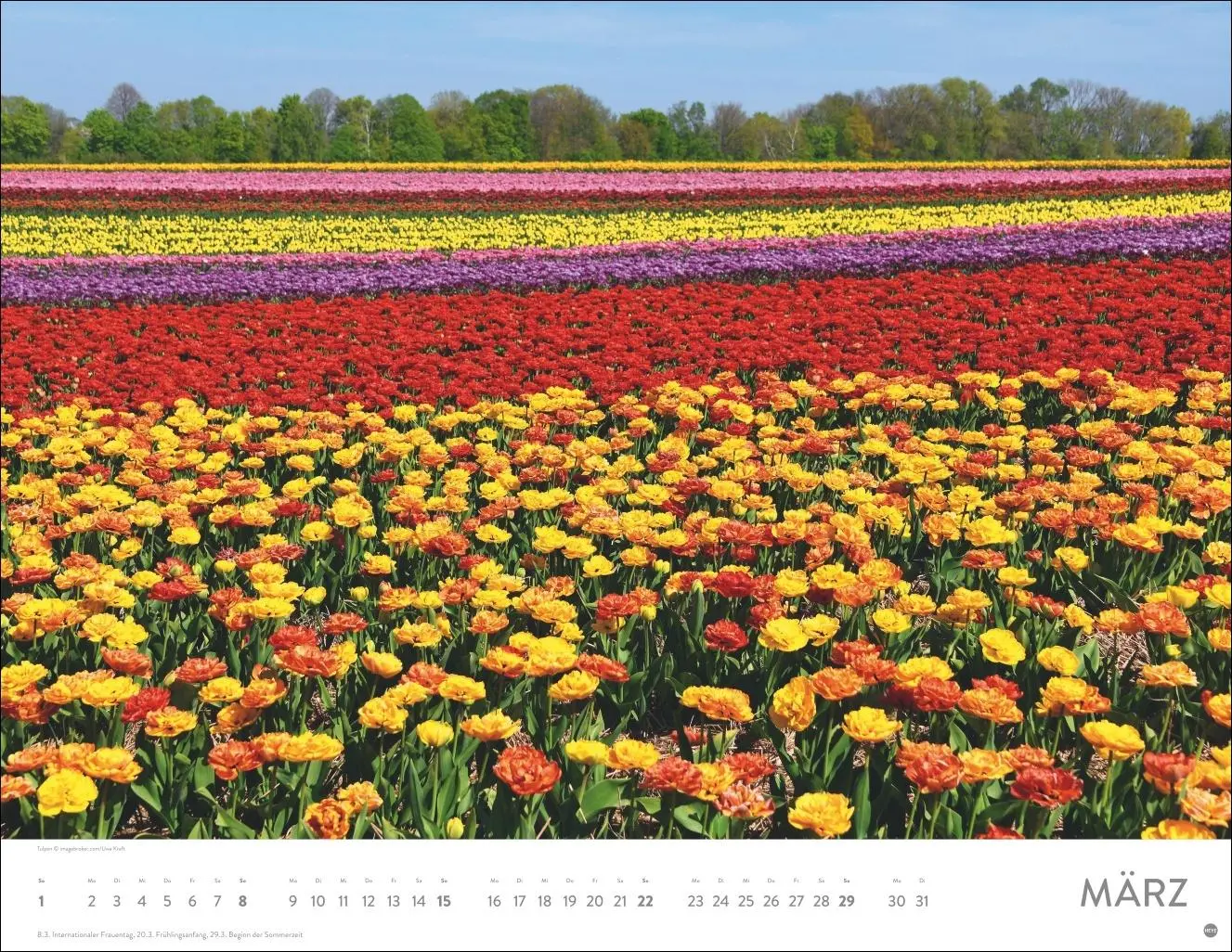 Bild: 9783756414116 | Blütenmeer Posterkalender 2026 | Heye | Kalender | Spiralbindung