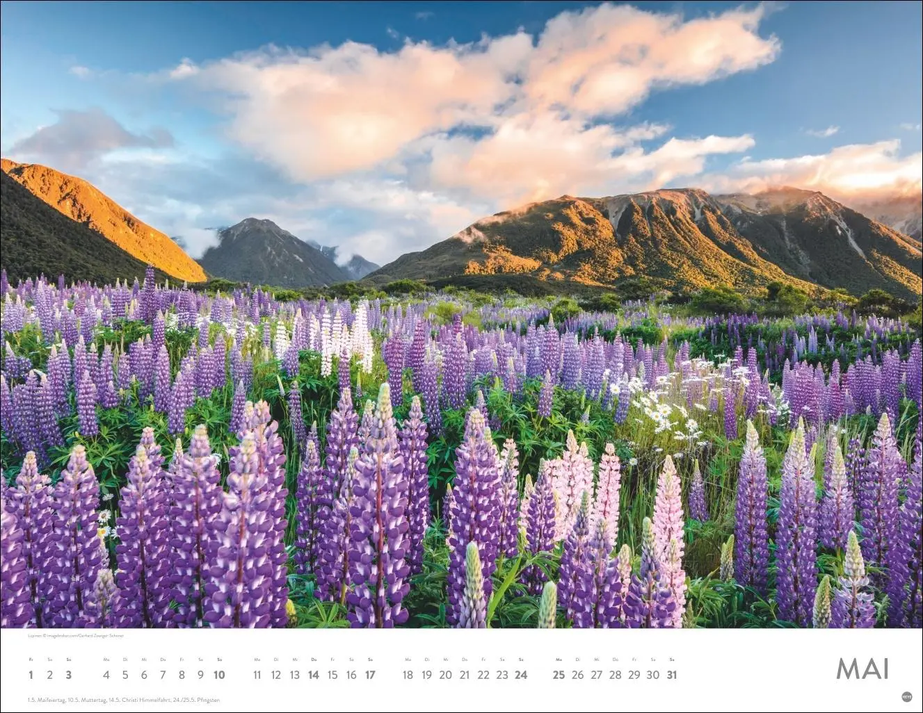 Bild: 9783756414116 | Blütenmeer Posterkalender 2026 | Heye | Kalender | Spiralbindung