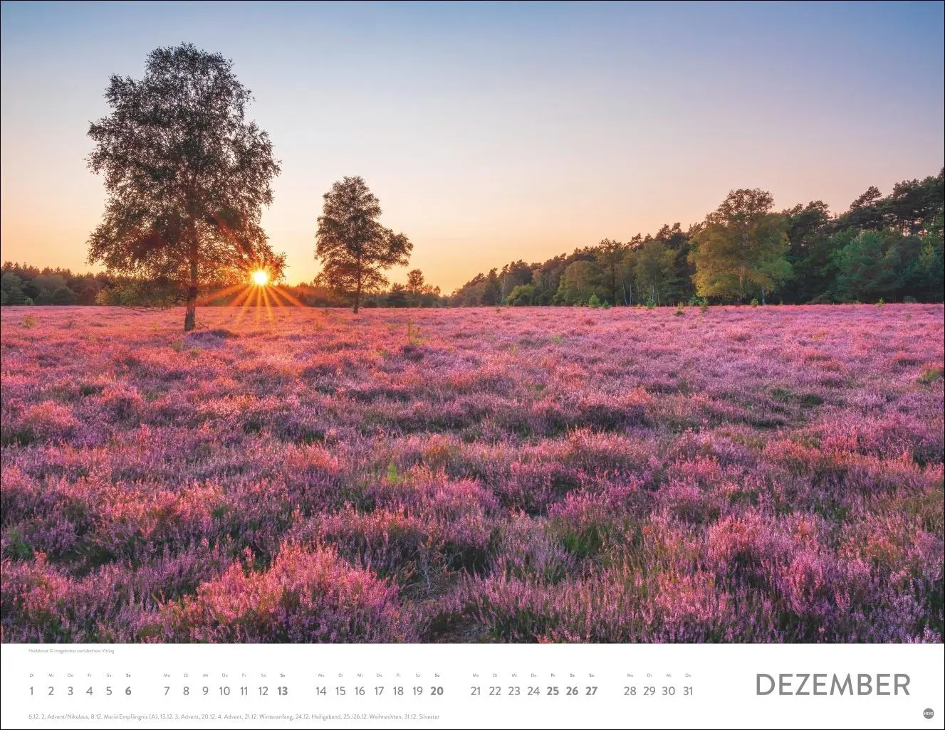 Bild: 9783756414116 | Blütenmeer Posterkalender 2026 | Heye | Kalender | Spiralbindung