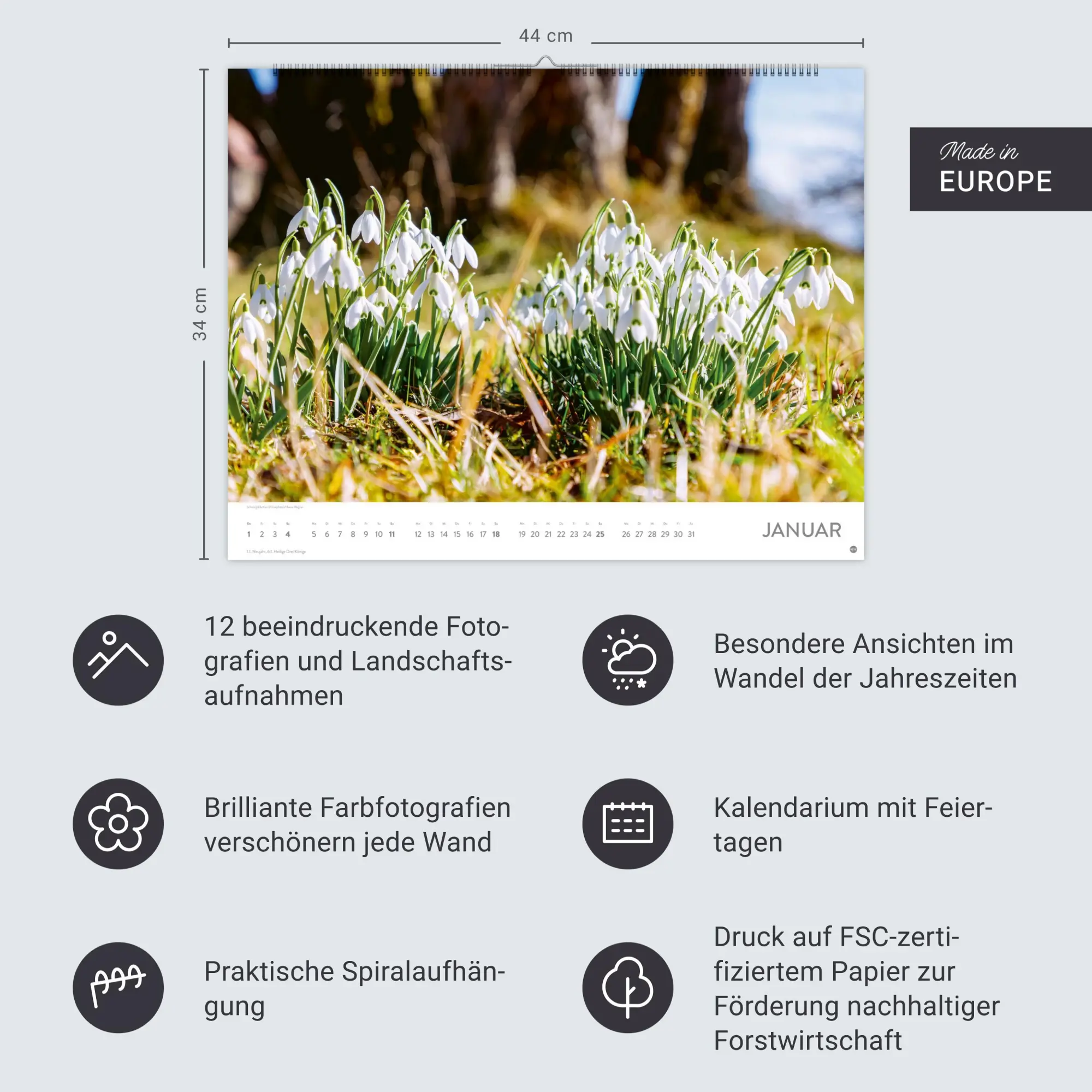Bild: 9783756414116 | Blütenmeer Posterkalender 2026 | Heye | Kalender | Spiralbindung