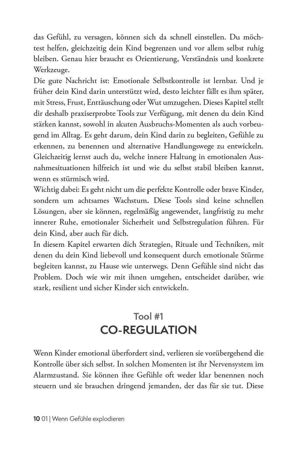 Bild: 9783911844116 | 100 Selbstregulations-Tools für Kinder im Grundschulalter...