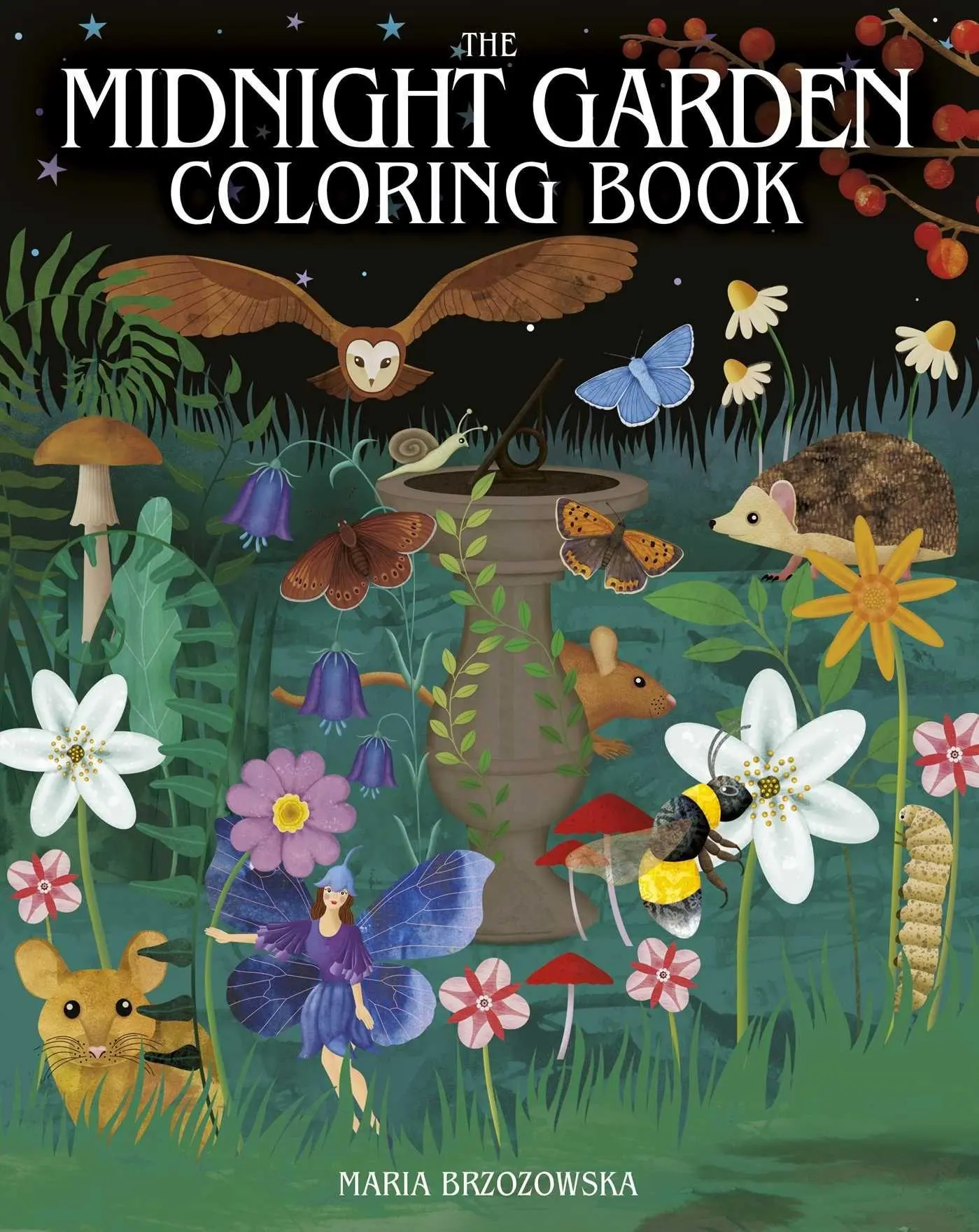 The Midnight Garden Coloring Book