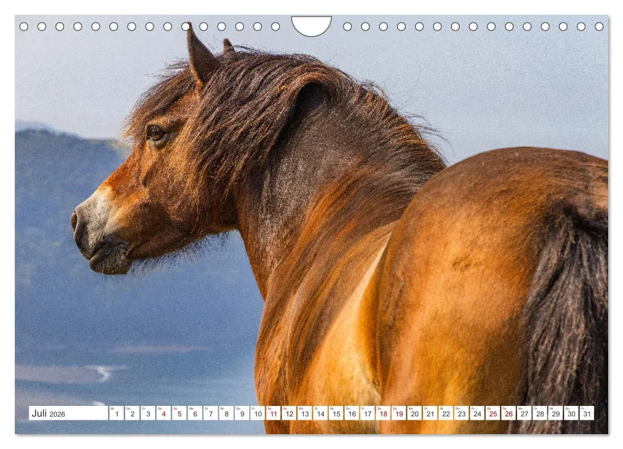 Bild: 9783457354216 | Exmoor National Park (Wandkalender 2026 DIN A4 quer), CALVENDO...