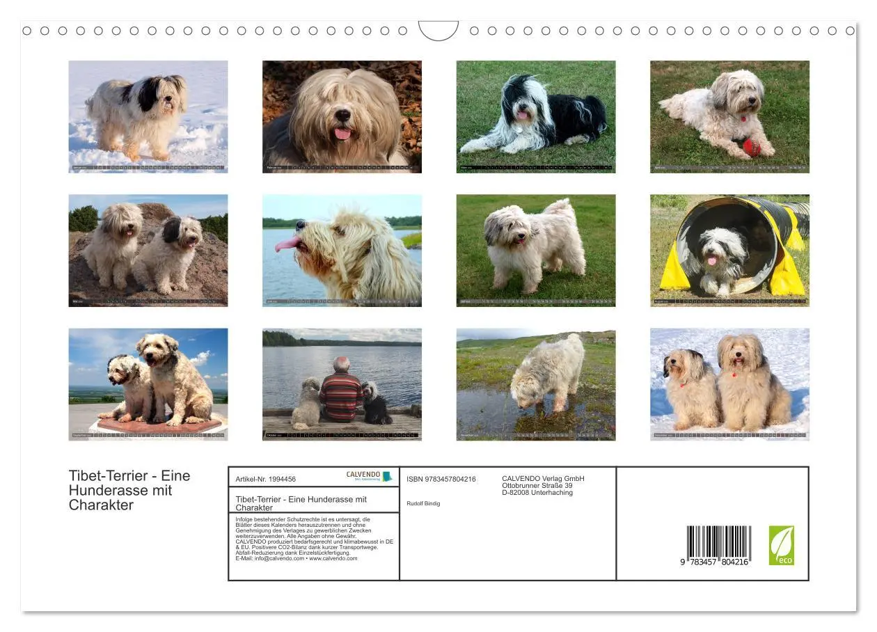 Bild: 9783457804216 | Tibet-Terrier - Eine Hunderasse mit Charakter (Wandkalender 2026...