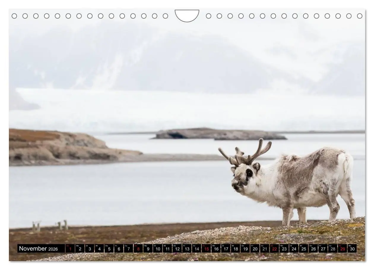 Bild: 9783457974216 | Spitzbergen - Arktische Impressionen (Wandkalender 2026 DIN A4...