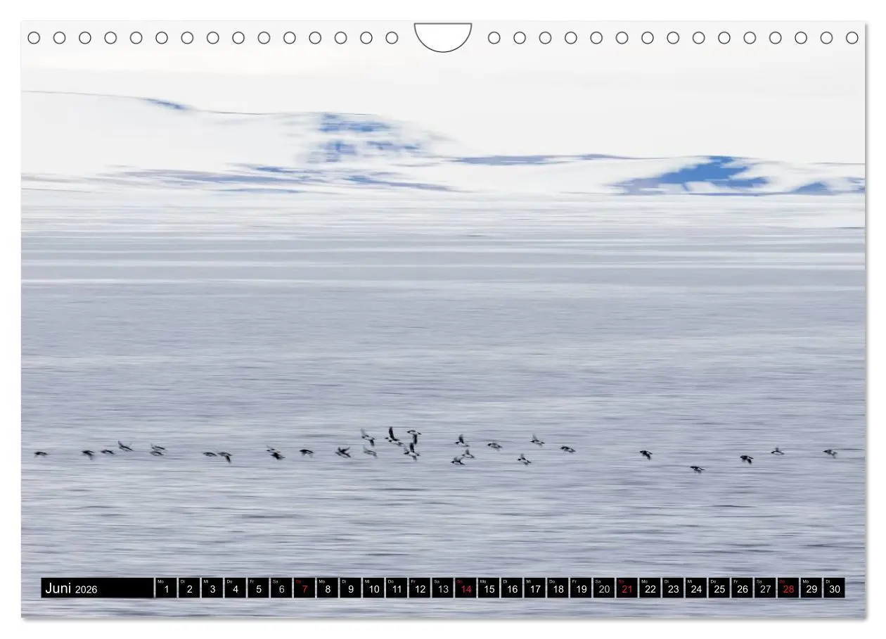 Bild: 9783457974216 | Spitzbergen - Arktische Impressionen (Wandkalender 2026 DIN A4...