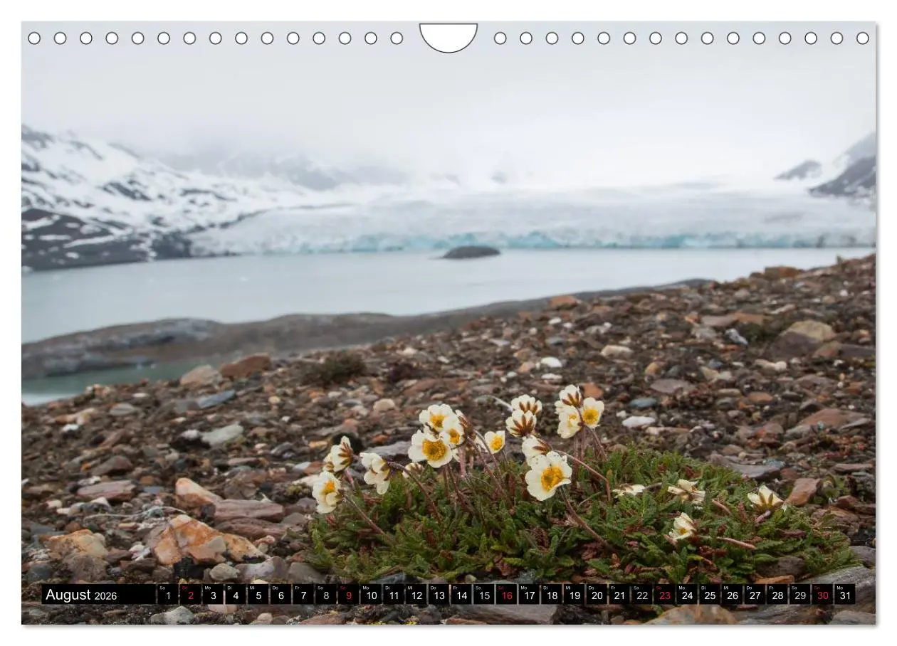 Bild: 9783457974216 | Spitzbergen - Arktische Impressionen (Wandkalender 2026 DIN A4...