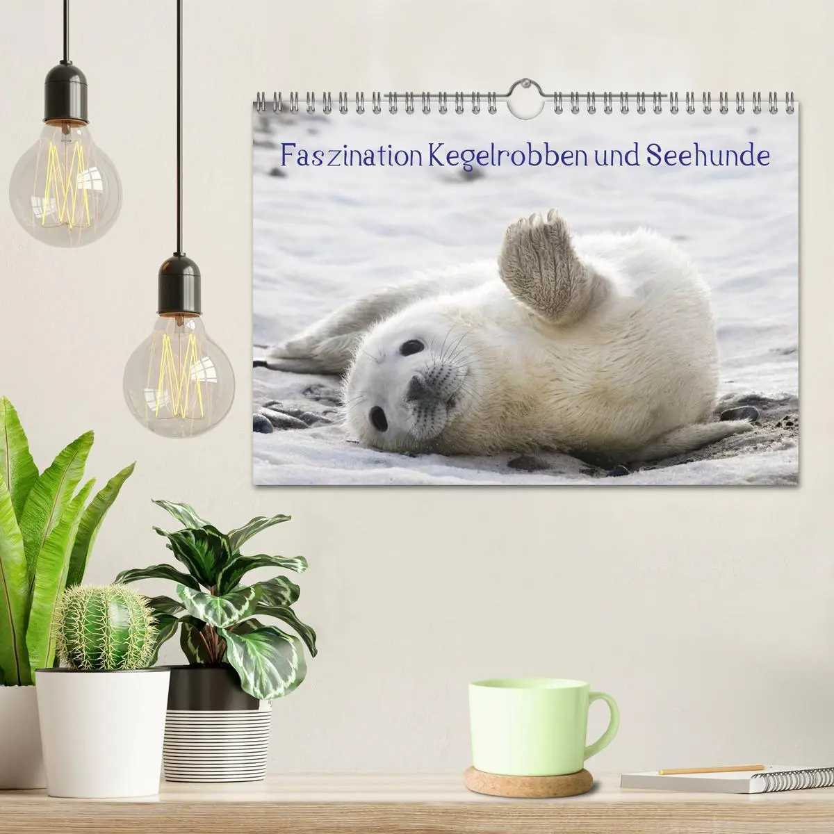 Bild: 9783516064216 | Faszination Kegelrobben und Seehunde 2026 (Wandkalender 2026 DIN A4...