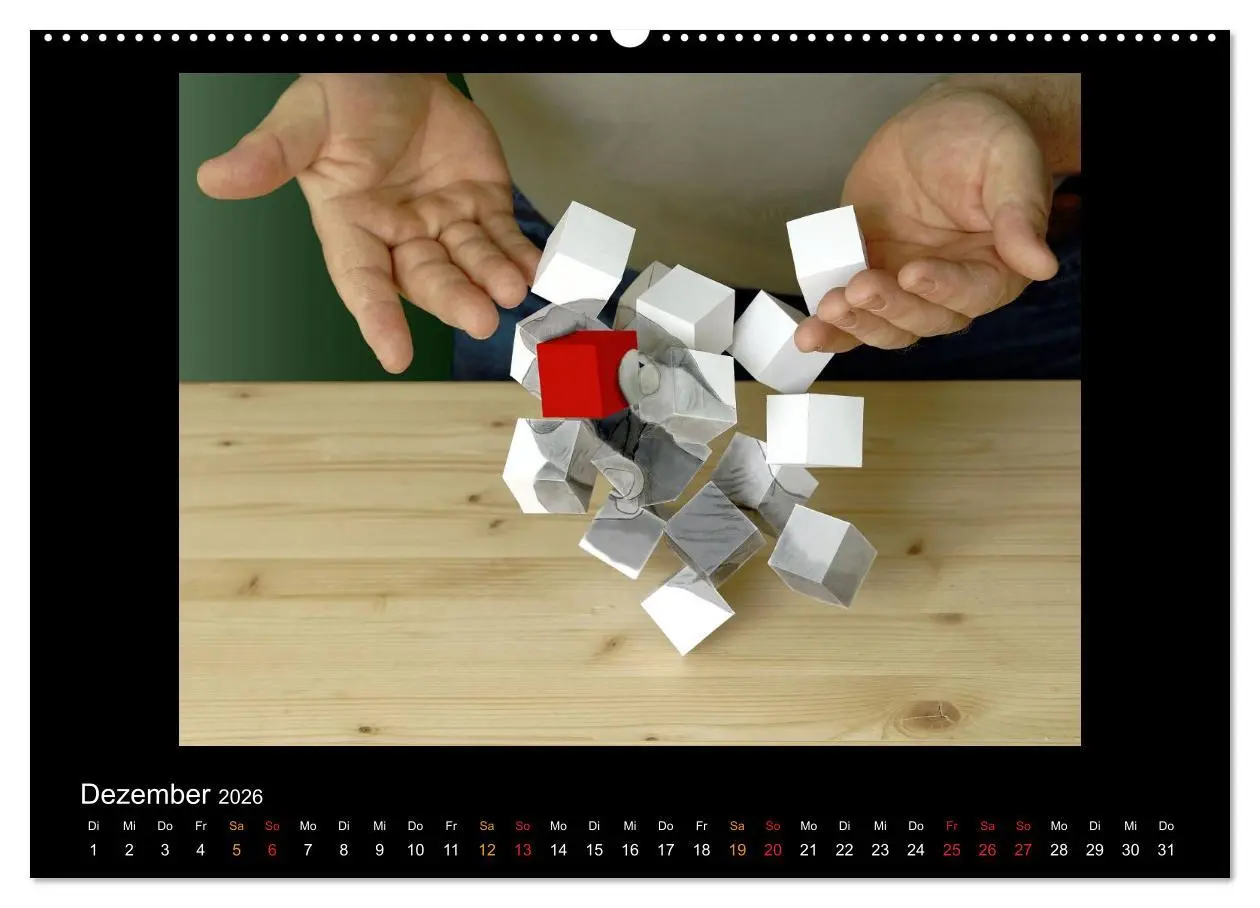 Bild: 9783516134216 | optische Täuschungen 2026 (Wandkalender 2026 DIN A2 quer), CALVENDO...