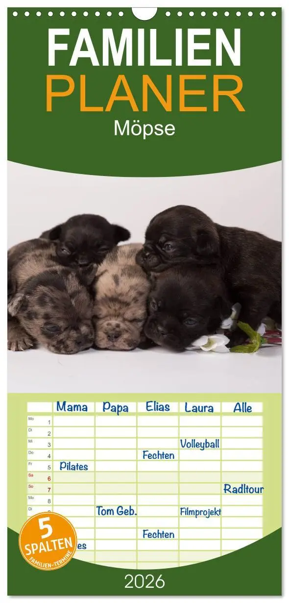 Cover: 9783516514216 | Familienplaner 2026 - Möpse mit 5 Spalten (Wandkalender, 21 x 45...