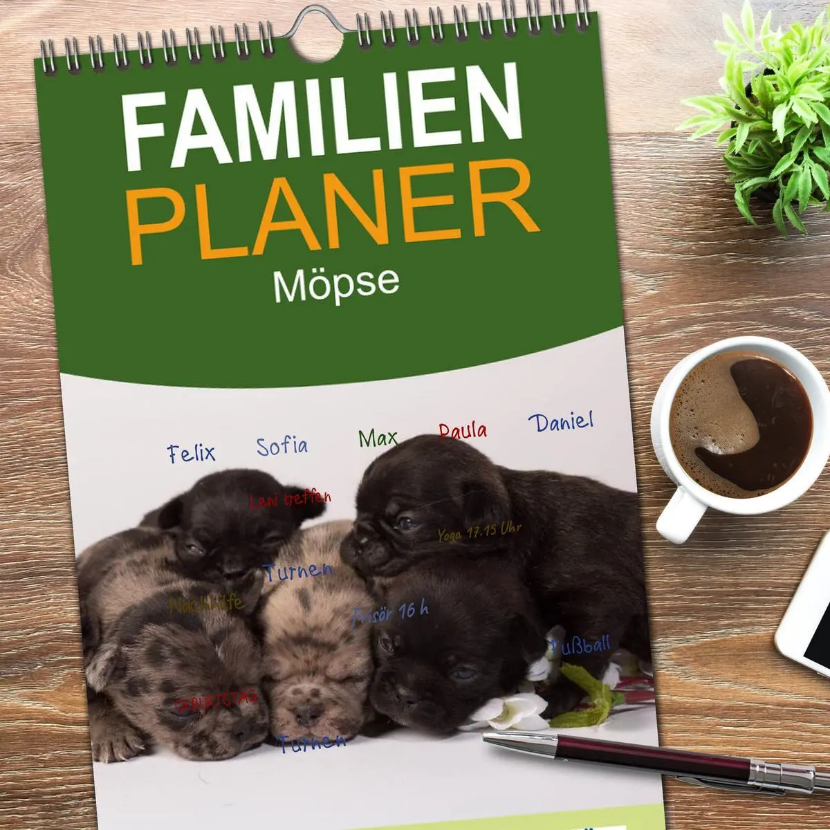 Bild: 9783516514216 | Familienplaner 2026 - Möpse mit 5 Spalten (Wandkalender, 21 x 45...