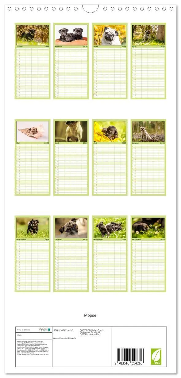 Bild: 9783516514216 | Familienplaner 2026 - Möpse mit 5 Spalten (Wandkalender, 21 x 45...