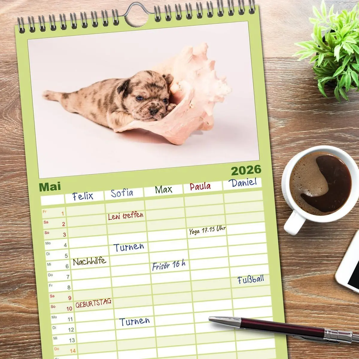 Bild: 9783516514216 | Familienplaner 2026 - Möpse mit 5 Spalten (Wandkalender, 21 x 45...