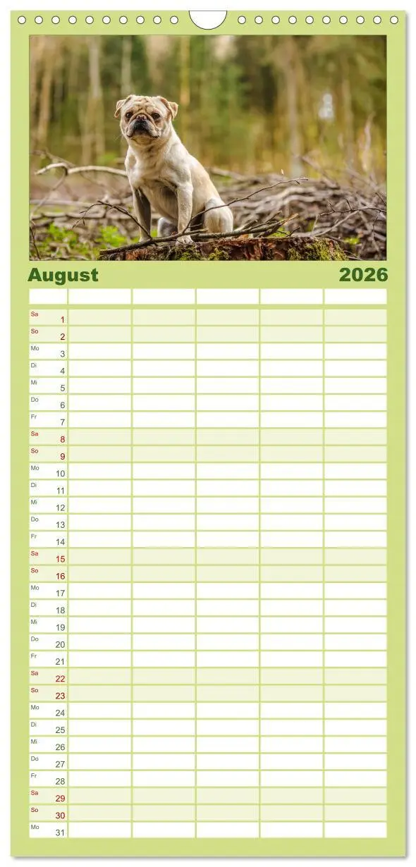 Bild: 9783516514216 | Familienplaner 2026 - Möpse mit 5 Spalten (Wandkalender, 21 x 45...