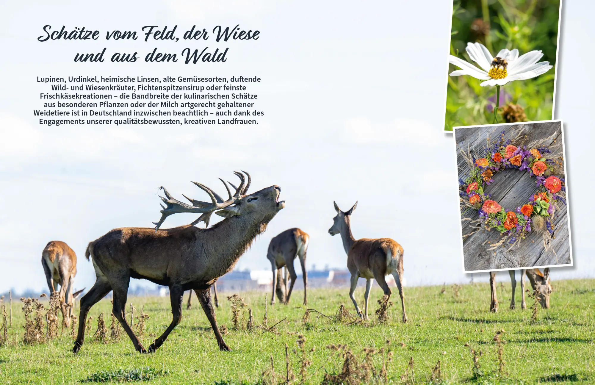 Bild: 9783965844216 | Kulinarische Schätze vom Münsterland bis zu den Alpen | Die Landfrauen