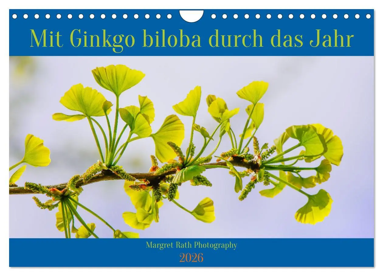 Cover: 9783457344316 | Mit Ginkgo biloba durch das Jahr (Wandkalender 2026 DIN A4 quer),...