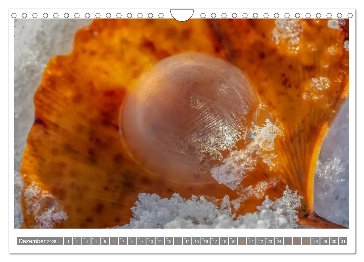 Bild: 9783457344316 | Mit Ginkgo biloba durch das Jahr (Wandkalender 2026 DIN A4 quer),...