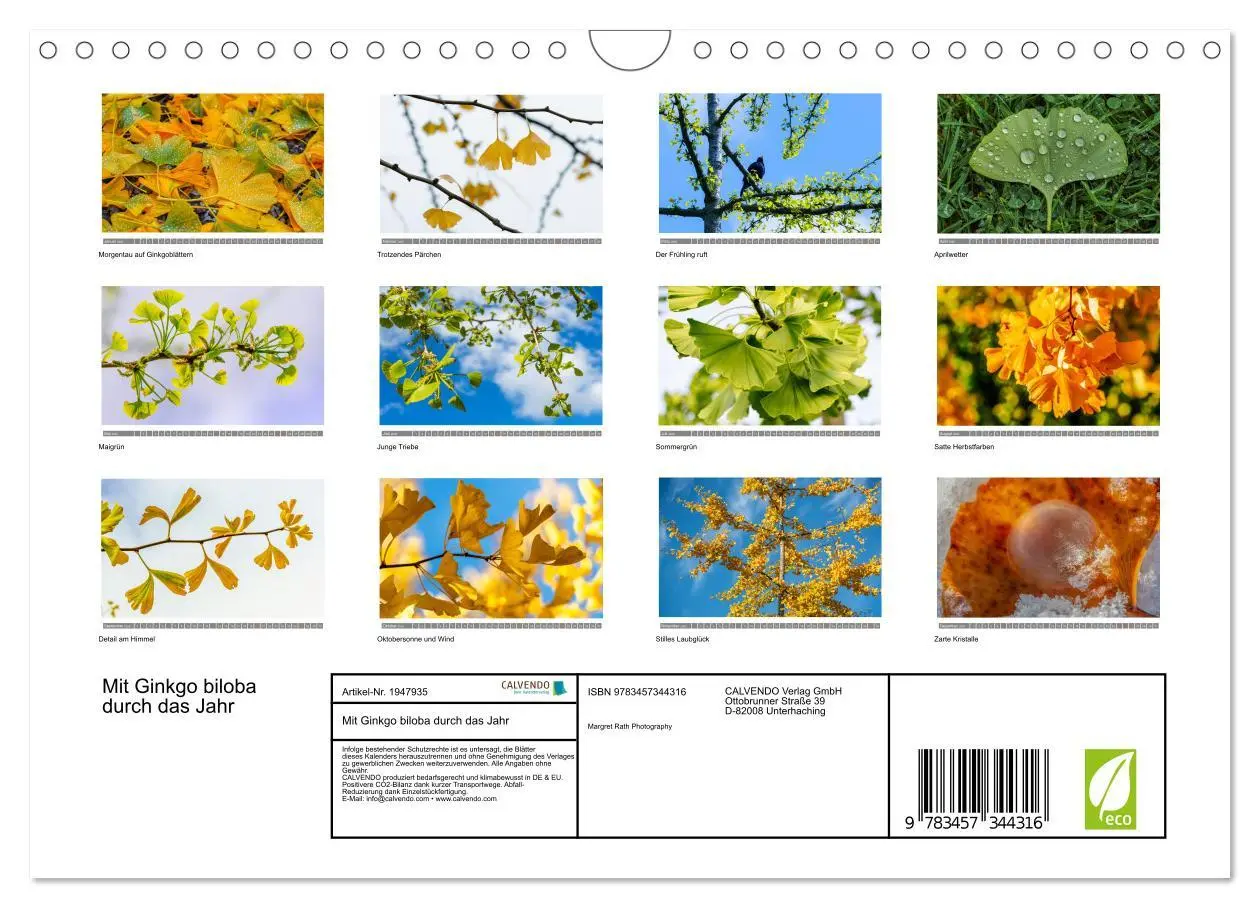 Bild: 9783457344316 | Mit Ginkgo biloba durch das Jahr (Wandkalender 2026 DIN A4 quer),...