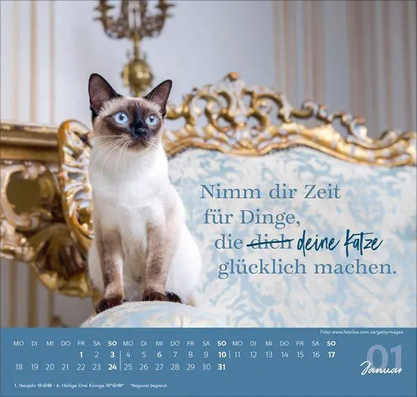 Bild: 9783819304316 | Live, Love, Meow 2027 | Verlag Korsch | Kalender | 1 S. | Deutsch