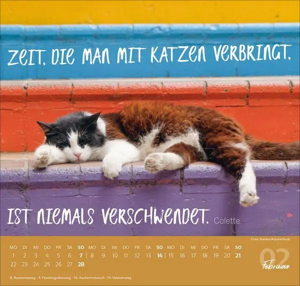 Bild: 9783819304316 | Live, Love, Meow 2027 | Verlag Korsch | Kalender | 1 S. | Deutsch