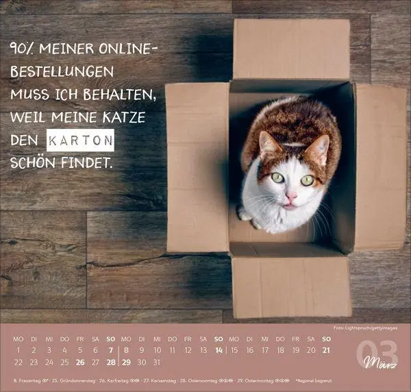 Bild: 9783819304316 | Live, Love, Meow 2027 | Verlag Korsch | Kalender | 1 S. | Deutsch