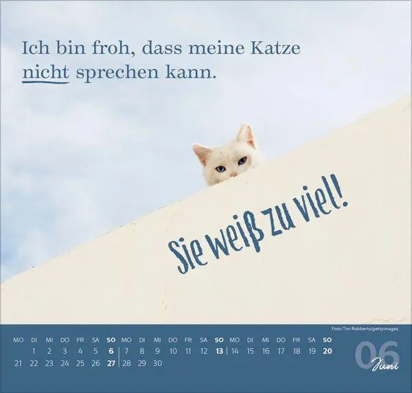 Bild: 9783819304316 | Live, Love, Meow 2027 | Verlag Korsch | Kalender | 1 S. | Deutsch