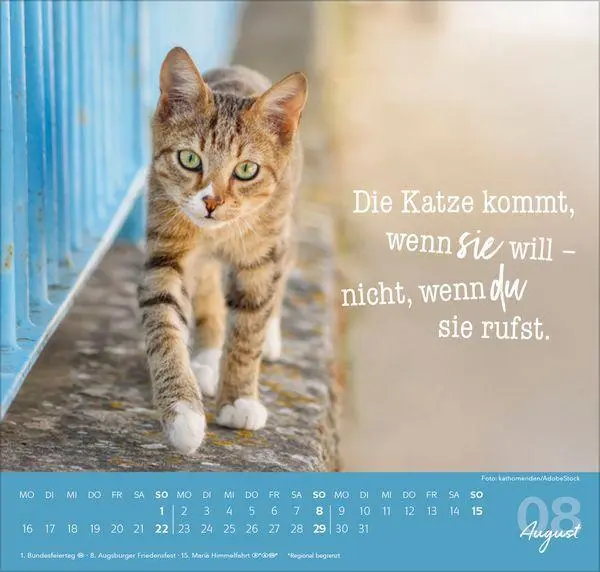 Bild: 9783819304316 | Live, Love, Meow 2027 | Verlag Korsch | Kalender | 1 S. | Deutsch