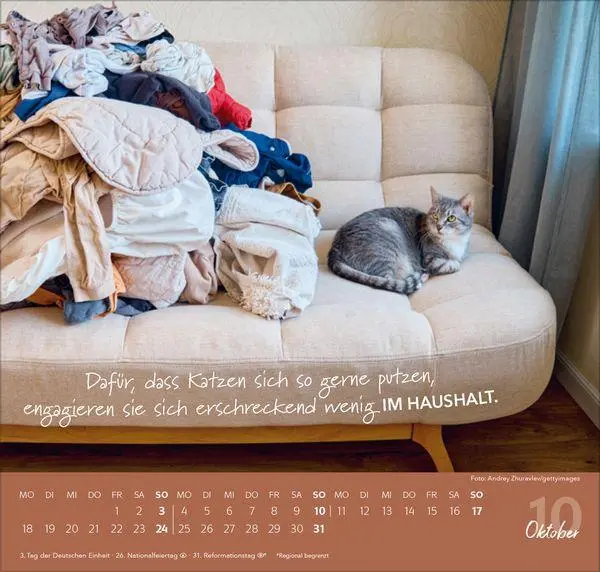 Bild: 9783819304316 | Live, Love, Meow 2027 | Verlag Korsch | Kalender | 1 S. | Deutsch