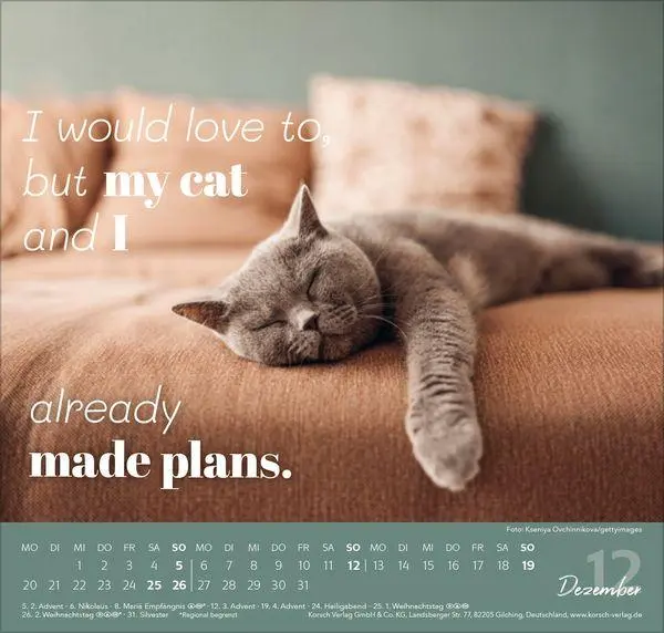 Bild: 9783819304316 | Live, Love, Meow 2027 | Verlag Korsch | Kalender | 1 S. | Deutsch