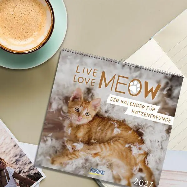 Bild: 9783819304316 | Live, Love, Meow 2027 | Verlag Korsch | Kalender | 1 S. | Deutsch
