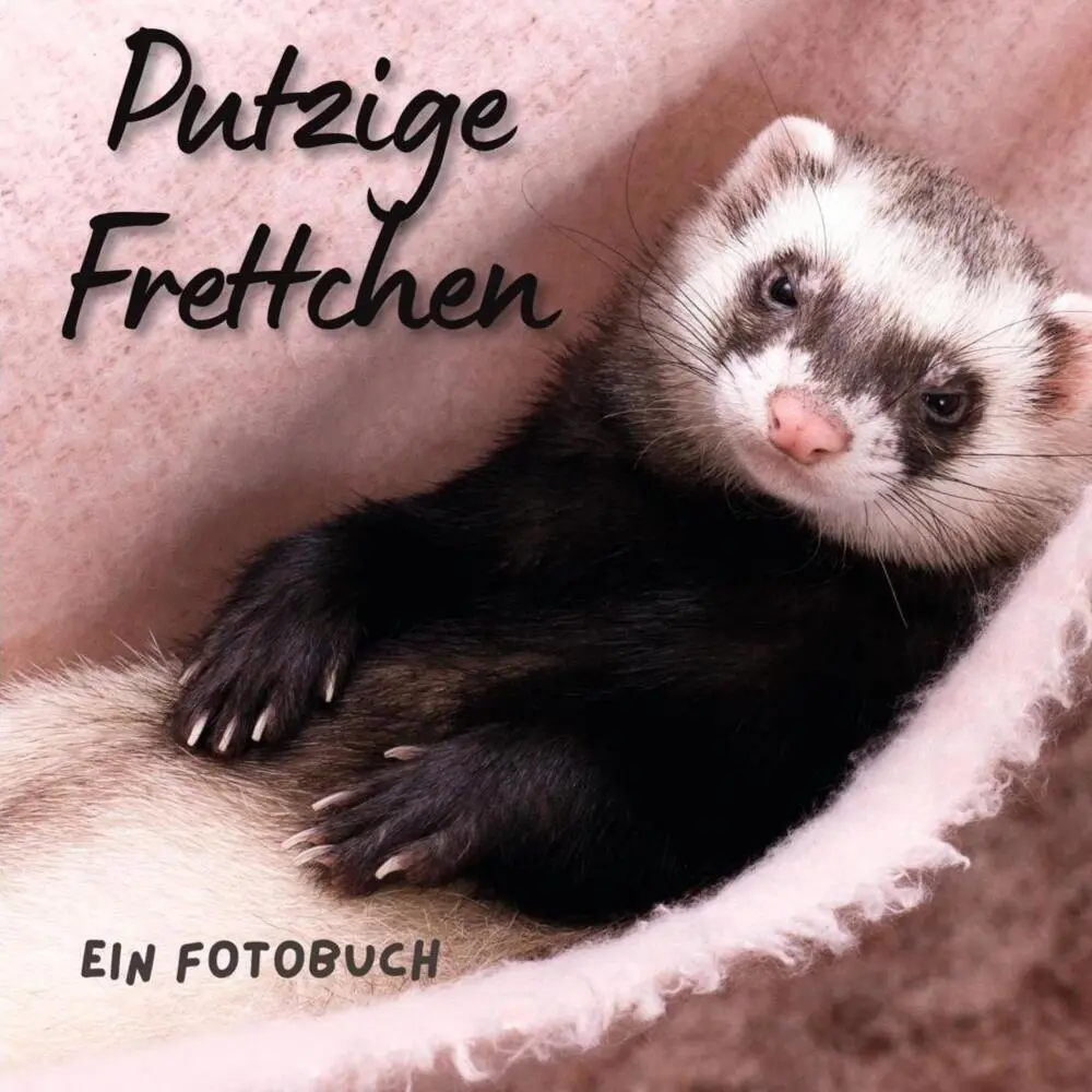 Cover: 9783750514416 | Putzige Frettchen | Ein Fotobuch | Bibi Hübsch | Taschenbuch | 42 S.