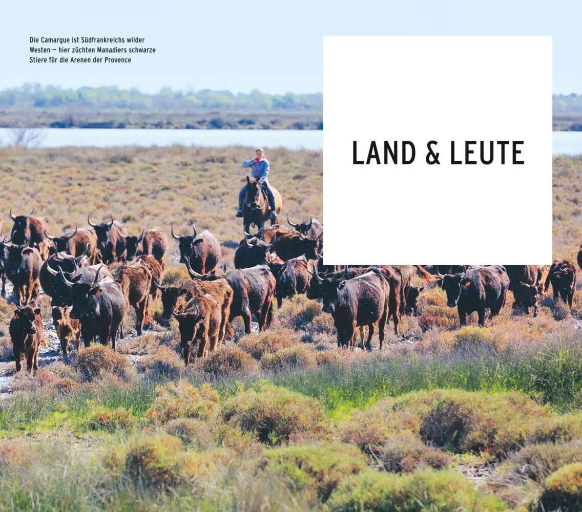 Bild: 9783846404416 | POLYGLOTT on tour Reiseführer Südfrankreich | Manfred Braunger (u. a.) Bild: 9783846404416 | POLYGLOTT on tour Reiseführer Südfrankreich | Manfred Braunger (u. a.)