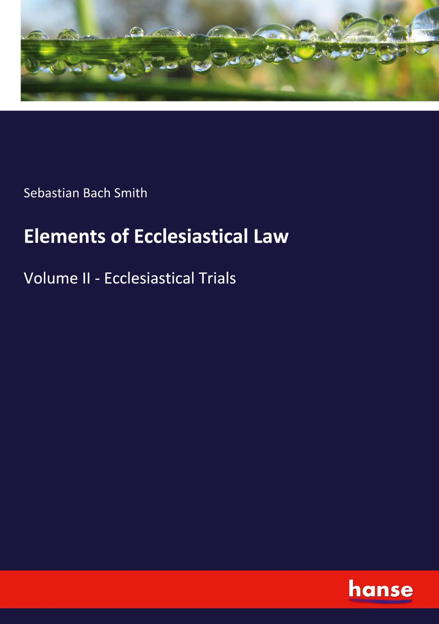 Elements of Ecclesiastical Law - Sebastian Bach Smith Kartoniert (TB)