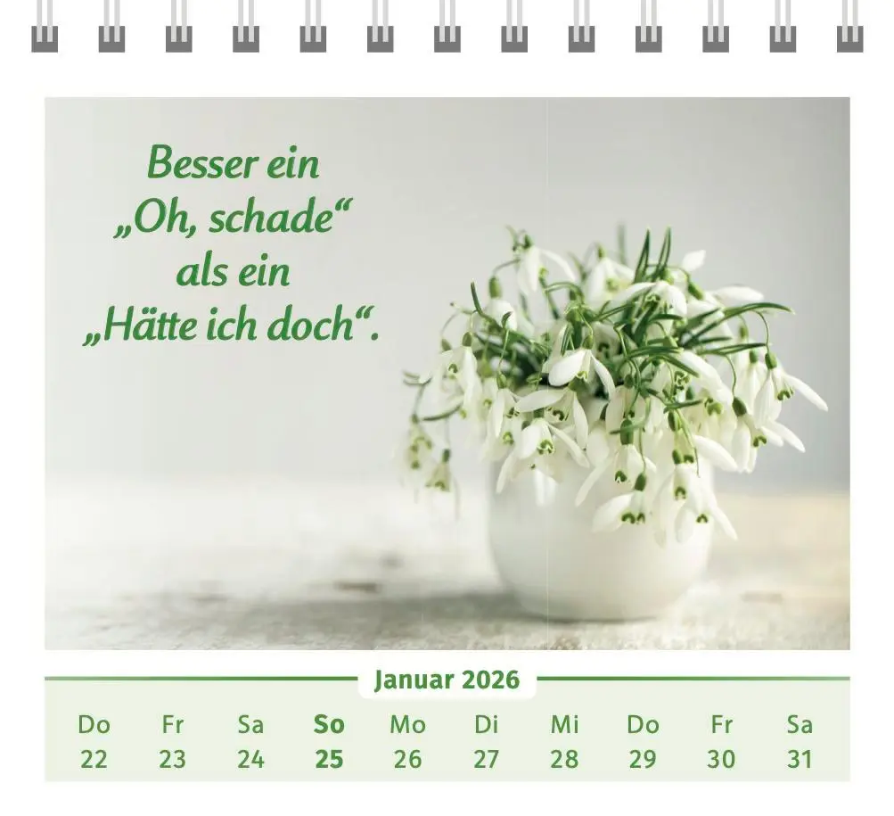 Bild: 9783910294516 | Der Lebensfreude-Tischkalender 2026 | Doris Wolf (u. a.) | Kalender
