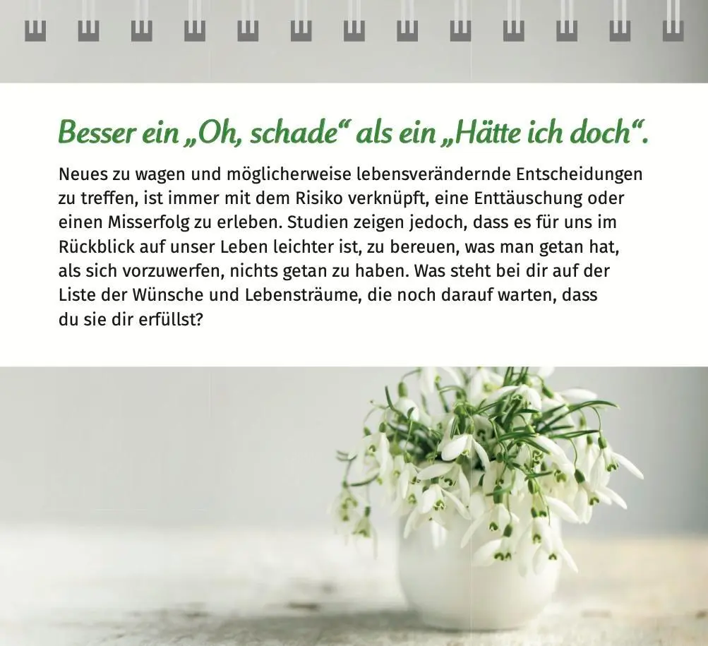 Bild: 9783910294516 | Der Lebensfreude-Tischkalender 2026 | Doris Wolf (u. a.) | Kalender
