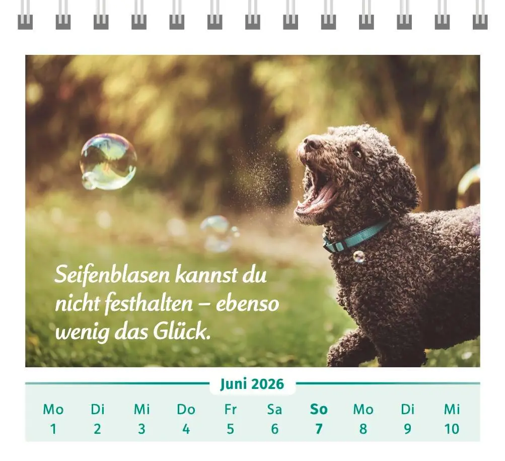 Bild: 9783910294516 | Der Lebensfreude-Tischkalender 2026 | Doris Wolf (u. a.) | Kalender