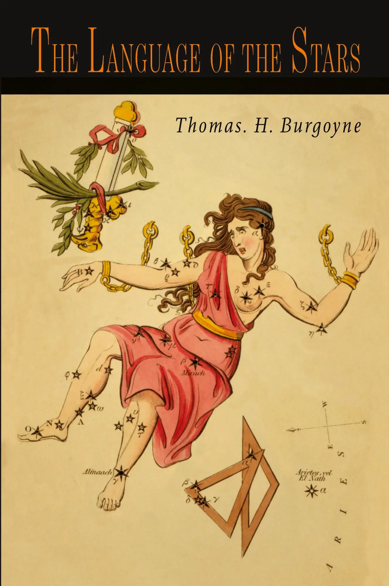 Cover: 9781684224616 | The Language of the Stars | Thomas H. Burgoyne | Taschenbuch | 2020