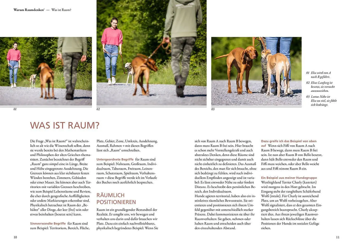 Bild: 9783440174616 | Raumdenken® in der Hundeerziehung | Ursula Löckenhoff | Buch | 224 S.