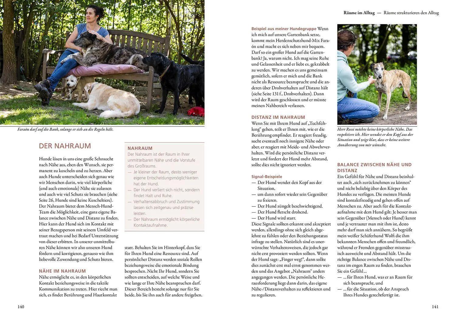 Bild: 9783440174616 | Raumdenken® in der Hundeerziehung | Ursula Löckenhoff | Buch | 224 S.